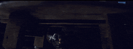 quentin tarantino film GIF