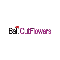 Cut Flowers Sticker by Ball Horticultural Co