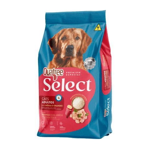 Quatreeselect Sticker by Quatree