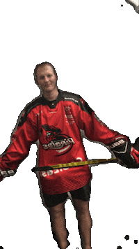 Hockey Player Pirates Sticker by AalborgPirates