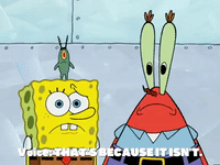 season 5 GIF by SpongeBob SquarePants