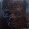 jeff goldblum GIF by foxhorror