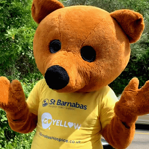 Happy Wave GIF by St Barnabas Lincolnshire Hospice