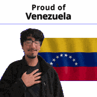 Venezuela Ve Sticker