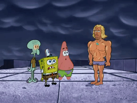 season 6 GIF by SpongeBob SquarePants