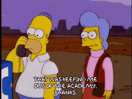 homer simpson GIF