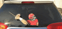 Football Nfl GIF by WiperTags Wiper Covers
