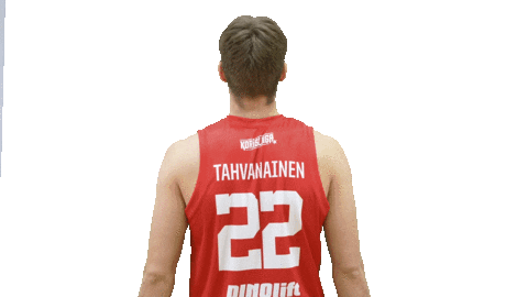 Basketball Hoops Sticker by Basket_fi