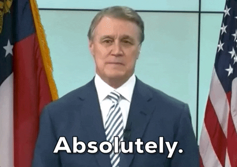 David Perdue GIF by Election 2020