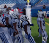 National Football League GIF by NFL
