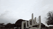 Butler Bulldogs Trip GIF by Butler University