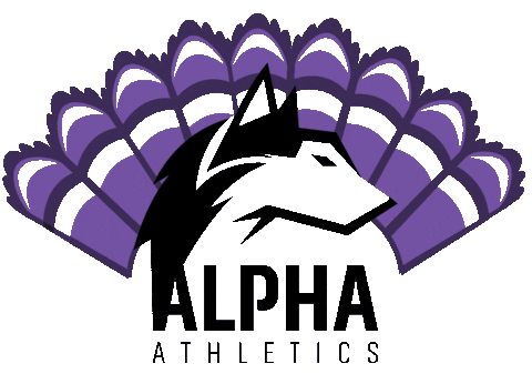 Alphanov Sticker by Alpha Athletics Cheer
