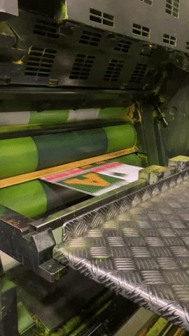 AllisonSylte2 giphyupload GIF