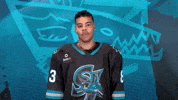 San Jose Yes GIF by San Jose Barracuda