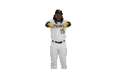 Major League Baseball No Sticker by Pittsburgh Pirates