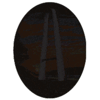 Block Island Travel Sticker by VisitRhodeIsland