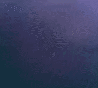 irlcam GIF by David