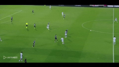 zgiorgos10 giphyupload GIF