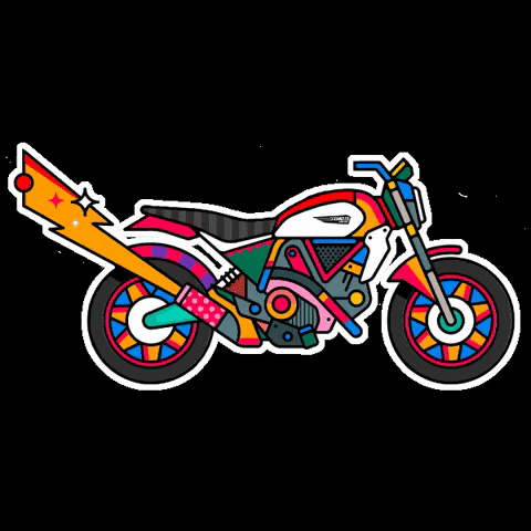 ducatimotorholding giphygifmaker moto riding motorbike GIF