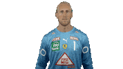 Handball-Bundesliga Handball Sticker by LIQUI MOLY HBL