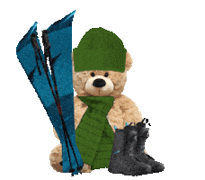 Teddy Bears Summer Sticker