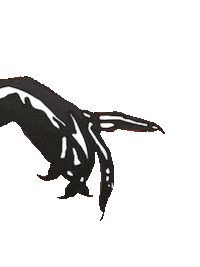 Hand Omg Sticker by giuseppe medici