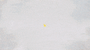 space gold GIF by University of California