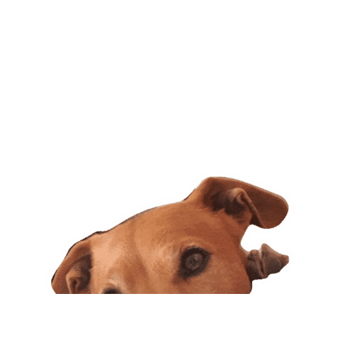 Teo Jackrussel Sticker by Stagione Arte