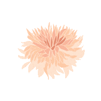 maevegondercreative pink design maeve maeve gonder creative Sticker