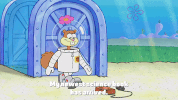 season 9 the fish bowl GIF by SpongeBob SquarePants