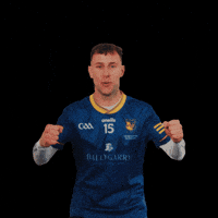 All-Ireland GIF by AIB