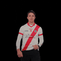 All-Ireland GIF by AIB