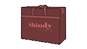 shindystudio party birthday wedding events Sticker