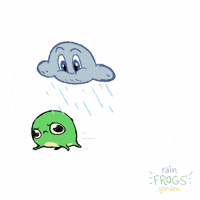 Rain Frog Running GIF