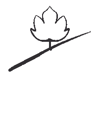 Naturaleza Pazo Sticker by costeira