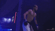 sport mma GIF by Karate Combat