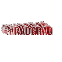 Classof2025 Radforduniversity Sticker by RadfordU