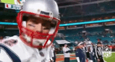 New England Patriots Football GIF by NFL
