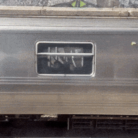 New York Nyc GIF by Cavan Infante