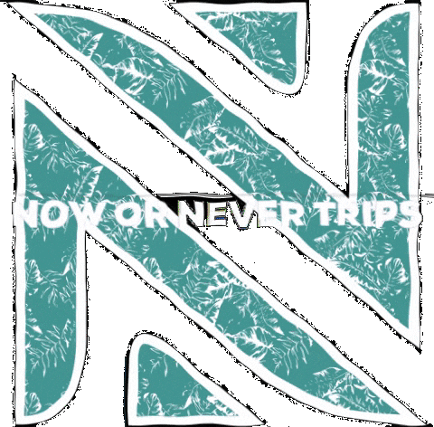 Sticker by Now or Never Trips