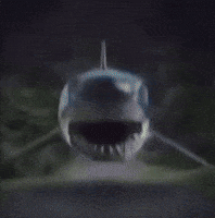 Shark Oompa GIF