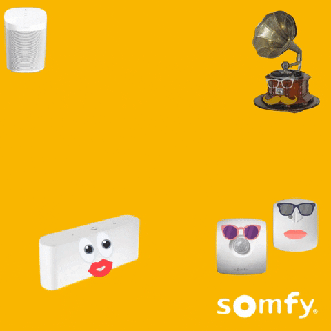 Happy Song GIF by Somfy