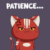 Happy Cats GIF by Kitaro World