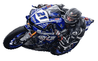 Yamaha Ducati Sticker by AR