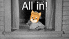 MemeRusher crypto bitcoin btc ethereum GIF