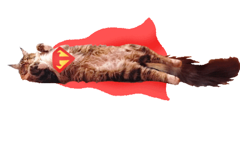 Tzigi giphyupload cat flying superhero Sticker