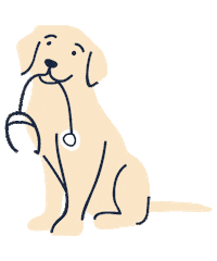 familyvetgroup dog familyvet family vet group familyvetgroup Sticker