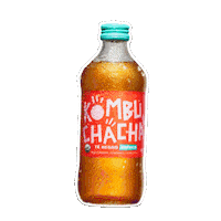 Lata Producto Sticker by Kombuchacha
