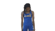 Track And Field Sticker by Delaware Blue Hens