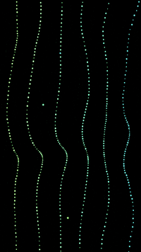 Glow Digital Art GIF by time